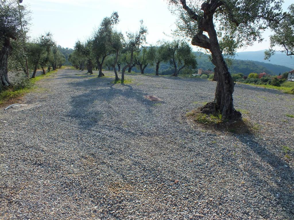 Agriturismo Ai Mandrioli Lastra a Signa Esterno foto